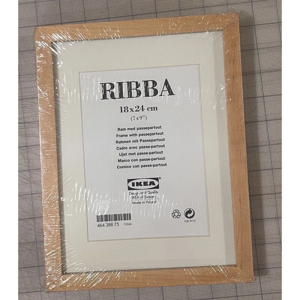 Ronna IKEA Frames 18x24
